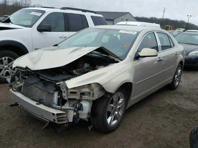 1G1ZC5EB8AF154081 - 2010 CHEVROLET MALIBU 1LT 金色 照片 2