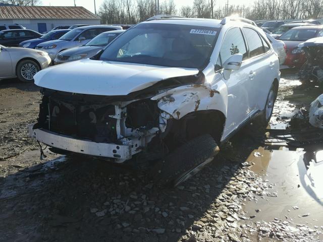 2T2BK1BA3DC162873 - 2013 LEXUS RX 350 WHITE photo 2