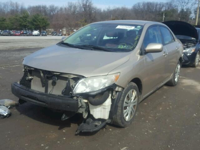 2T1BU40E89C025926 - 2009 TOYOTA COROLLA BA GOLD photo 2