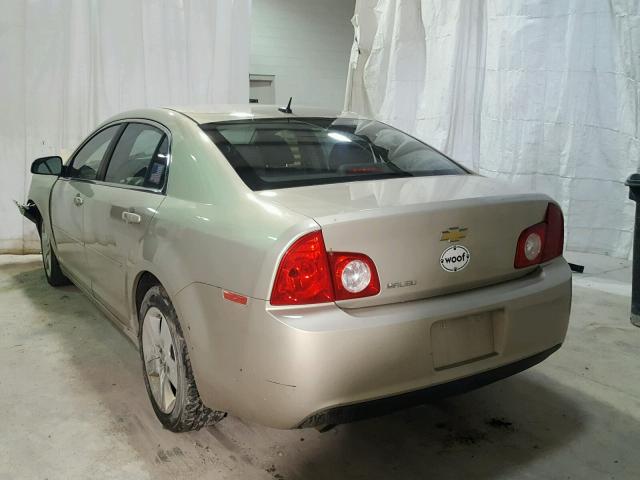 1G1ZB5E16BF372628 - 2011 CHEVROLET MALIBU LS თაფლისფერი ფოტო 3