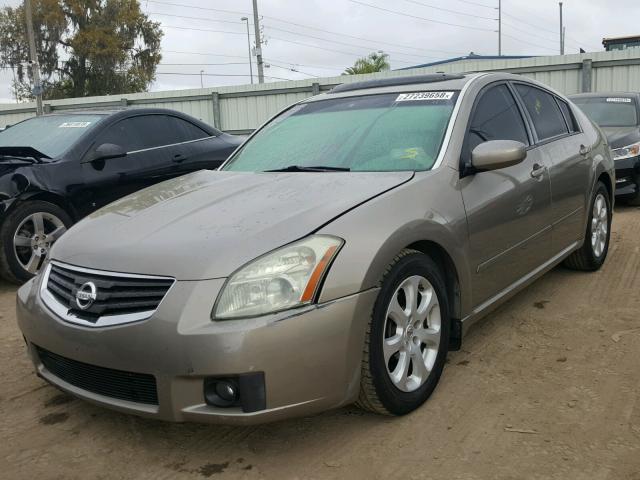 1N4BA41E78C832278 - 2008 NISSAN MAXIMA SE TAN photo 2