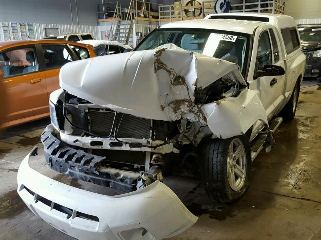 1D7RW3BK4BS620787 - 2011 DODGE DAKOTA SLT WHITE photo 2