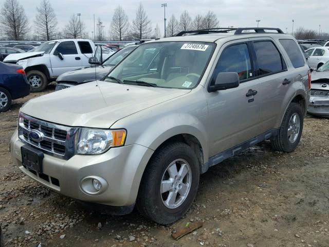 1FMCU0DGXAKB75513 - 2010 FORD ESCAPE XLT TAN photo 2