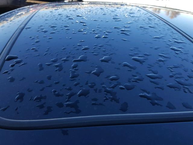 1HGEM22952L026632 - 2002 HONDA CIVIC EX შავი ფოტო 9