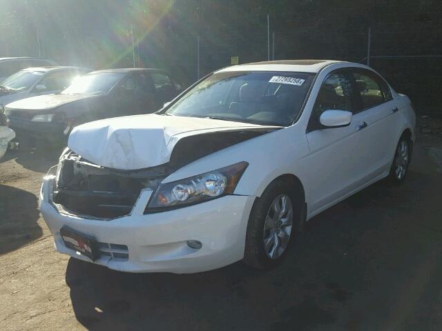 1HGCP36789A037367 - 2009 HONDA ACCORD EX WHITE photo 2