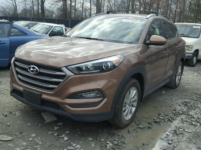 KM8J33A44GU198062 - 2016 HYUNDAI TUCSON LIM BROWN photo 2