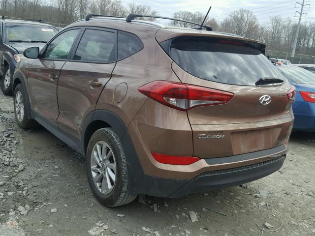 KM8J33A44GU198062 - 2016 HYUNDAI TUCSON LIM BROWN photo 3