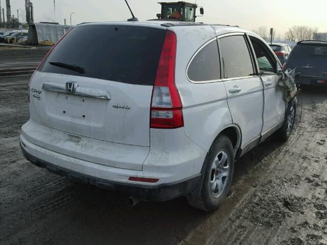 5J6RE4H74BL820675 - 2011 HONDA CR-V EXL WHITE photo 4