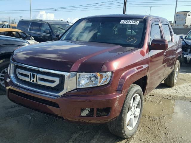 5FPYK16549B101828 - 2009 HONDA RIDGELINE BURGUNDY photo 2