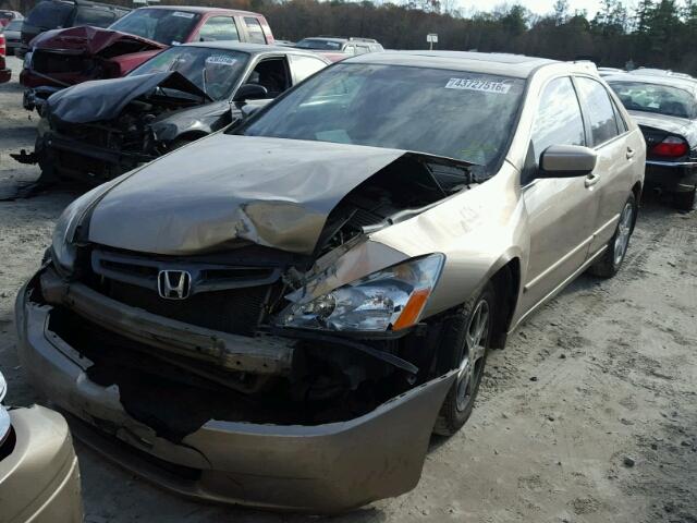 1HGCM66553A017206 - 2003 HONDA ACCORD GOLD photo 2