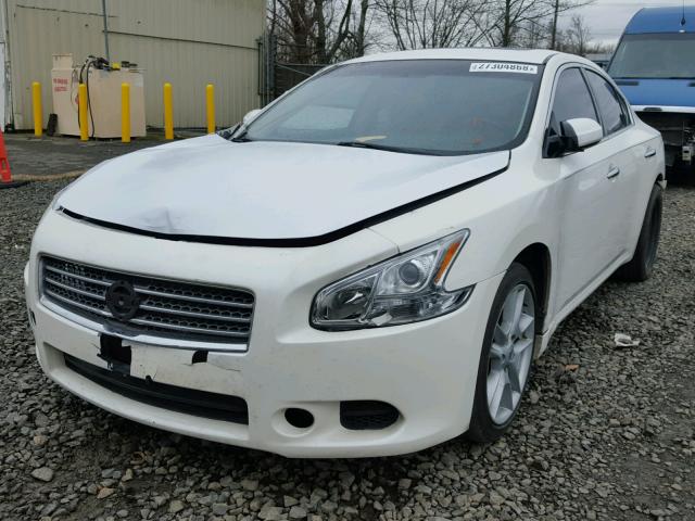 1N4AA5AP2AC846503 - 2010 NISSAN MAXIMA S WHITE photo 2