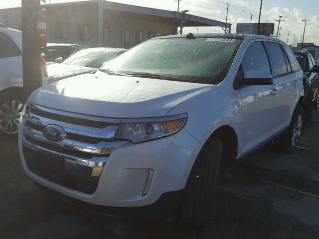 2FMDK3JC0EBB13356 - 2014 FORD EDGE SEL WHITE photo 2