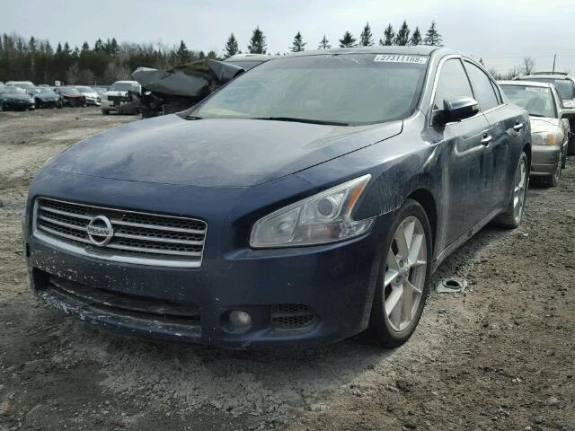 1N4AA51E09C813199 - 2009 NISSAN MAXIMA S BLUE photo 2