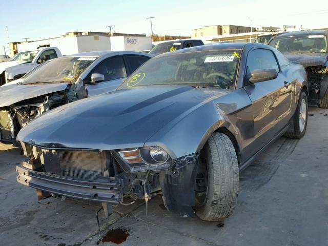 1ZVBP8AM3C5278271 - 2012 FORD MUSTANG GRAY photo 2