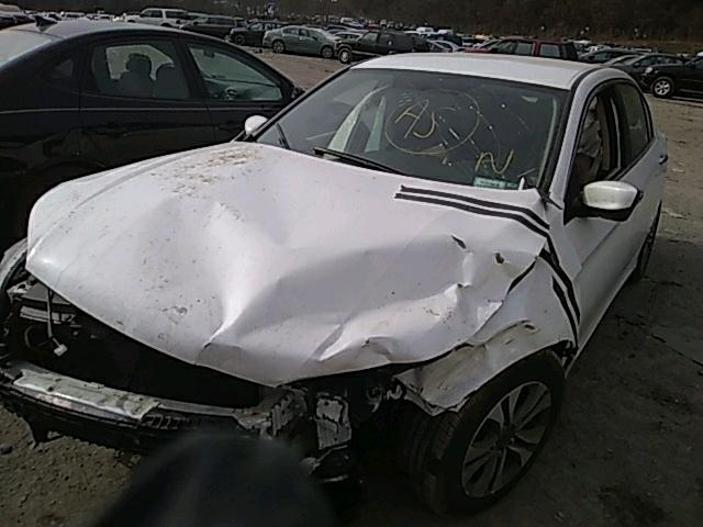 1HGCR2F39EA272727 - 2014 HONDA ACCORD LX WHITE photo 2