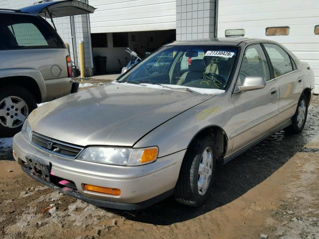 1HGCE6663SA021856 - 1995 HONDA ACCORD EX TAN photo 2