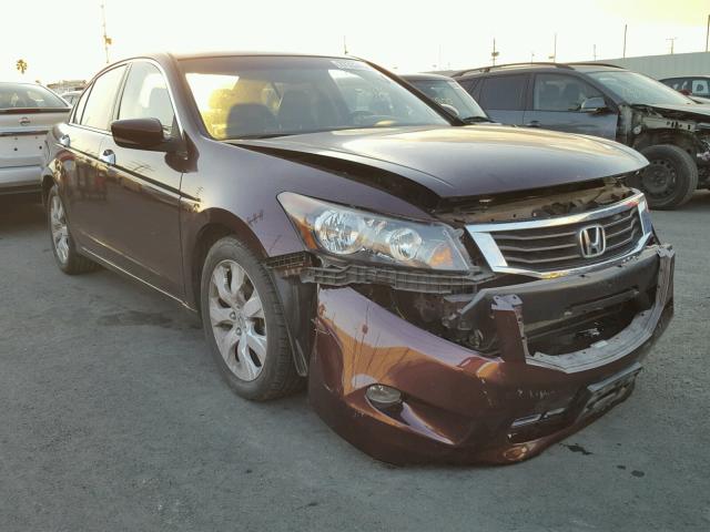 5KBCP3F83AB007875 - 2010 HONDA ACCORD EXL MAROON photo 1