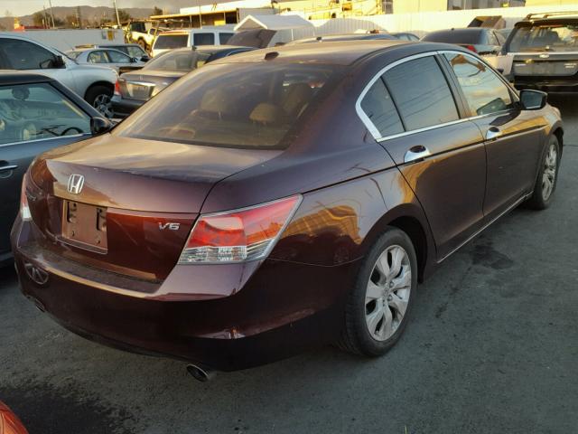 5KBCP3F83AB007875 - 2010 HONDA ACCORD EXL MAROON photo 4