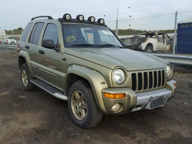 1J4GL38K22W331363 - 2002 JEEP LIBERTY RE GREEN photo 1