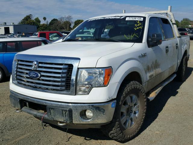 1FTFW1ET0CFC23108 - 2012 FORD F150 SUPER WHITE photo 2