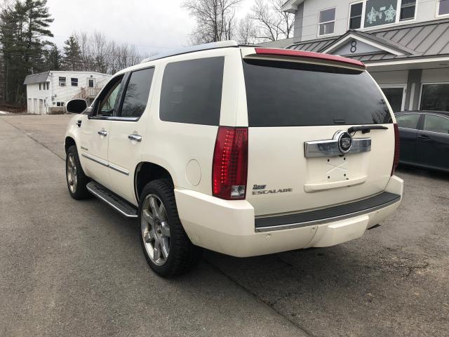 1GYFK63807R353976 - 2007 CADILLAC ESCALADE L WHITE photo 10