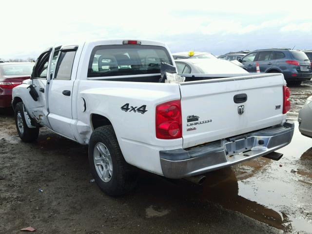 1D7HW48N55S158716 - 2005 DODGE DAKOTA QUA WHITE photo 3