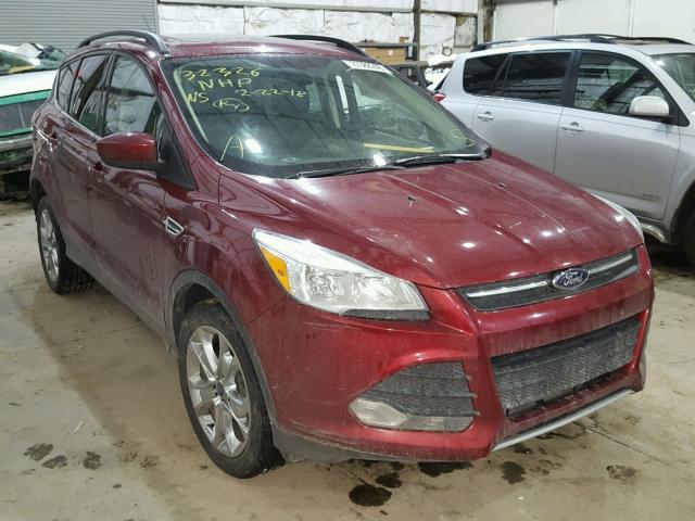 1FMCU9G99EUA93946 - 2014 FORD ESCAPE SE RED photo 1