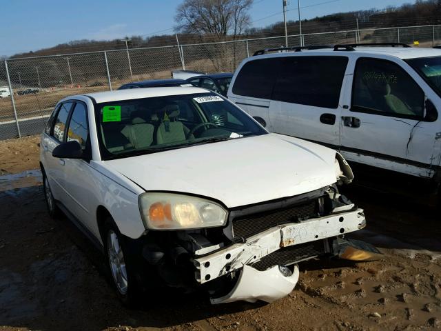 1G1ZT62825F178073 - 2005 CHEVROLET MALIBU MAX WHITE photo 1