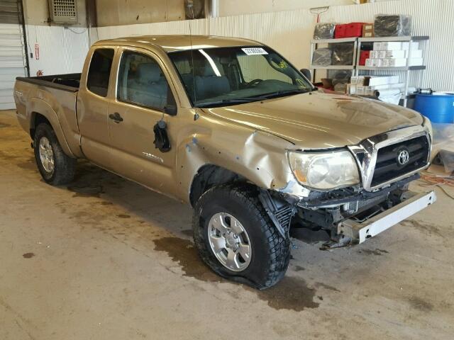 5TEUU42N66Z144974 - 2006 TOYOTA TACOMA ACC GOLD photo 1