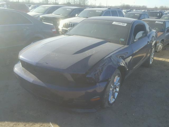 1ZVBP8AM6B5100675 - 2011 FORD MUSTANG BLUE photo 2