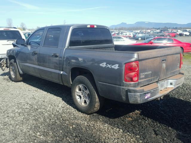 1D7HW48N95S310240 - 2005 DODGE DAKOTA QUA GRAY photo 3