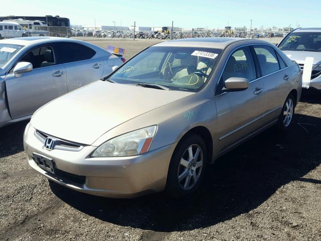 1HGCM56715A048208 - 2005 HONDA ACCORD EX GOLD photo 2