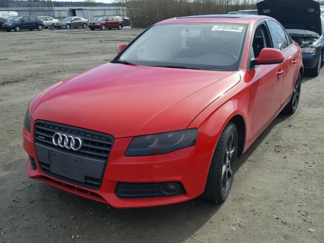 WAULF78K69N034404 - 2009 AUDI A4 2.0T QU RED photo 2