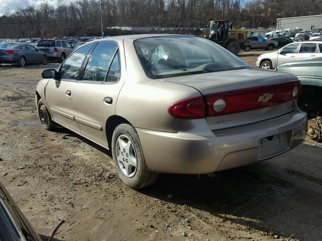 1G1JC52F347169025 - 2004 CHEVROLET CAVALIER GOLD photo 3