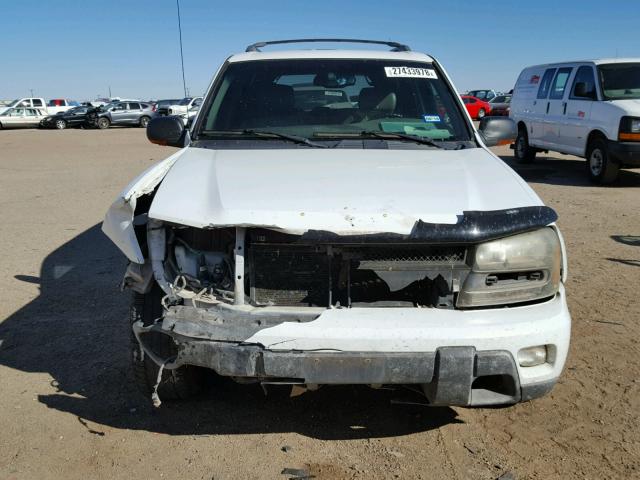 1GNDS13S022120300 - 2002 CHEVROLET TRAILBLAZE WHITE photo 9