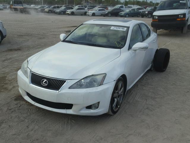 JTHBK262092091634 - 2009 LEXUS IS 250 WHITE photo 2