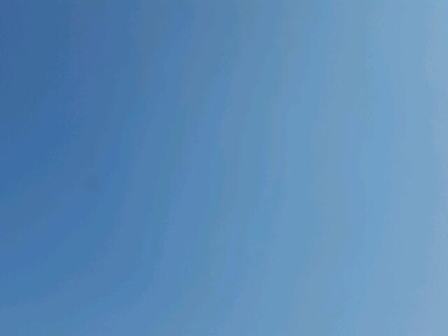 CGR3380122151 - 1980 INTERNATIONAL ALL MODELS თეთრი ფოტო 2