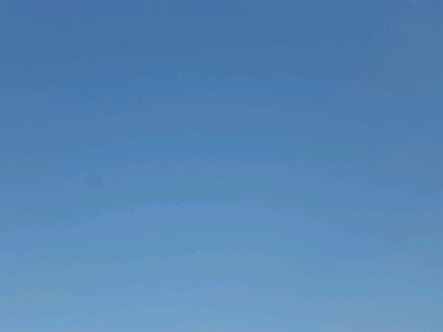 CGR3380122151 - 1980 INTERNATIONAL ALL MODELS თეთრი ფოტო 3