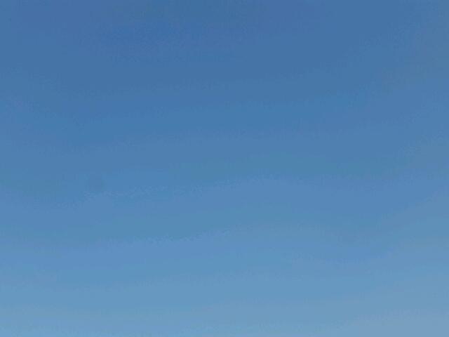 CGR3380122151 - 1980 INTERNATIONAL ALL MODELS თეთრი ფოტო 5