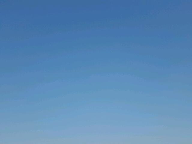 CGR3380122151 - 1980 INTERNATIONAL ALL MODELS თეთრი ფოტო 6