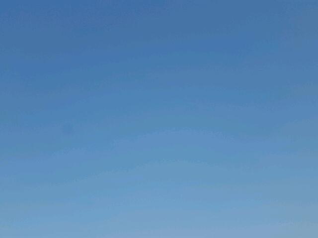 CGR3380122151 - 1980 INTERNATIONAL ALL MODELS თეთრი ფოტო 7