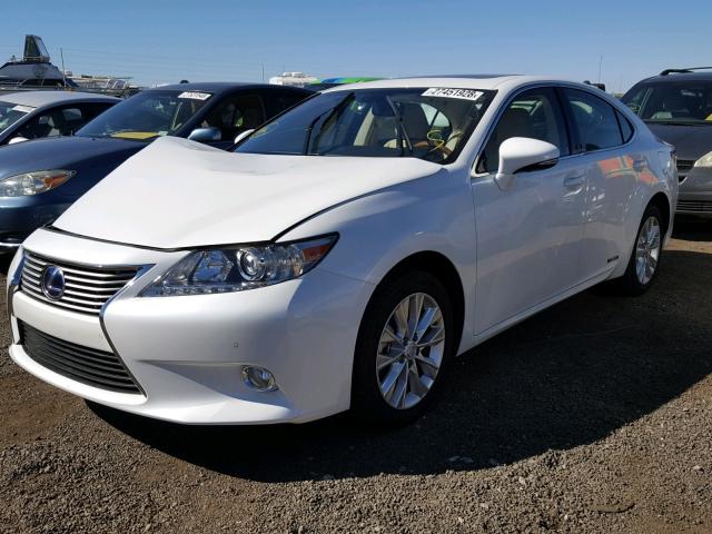 JTHBW1GG0D2011010 - 2013 LEXUS ES 300H WHITE photo 2