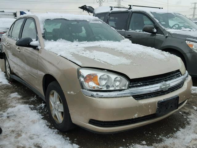 1G1ZT52895F258996 - 2005 CHEVROLET MALIBU LS ოქროსფერი ფოტო 1