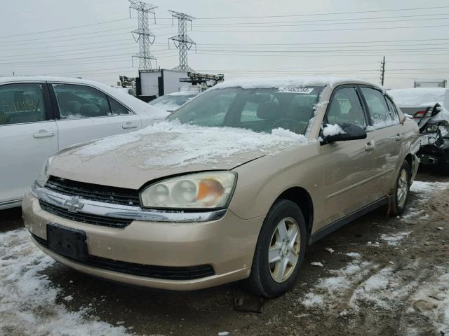 1G1ZT52895F258996 - 2005 CHEVROLET MALIBU LS GOLD photo 2