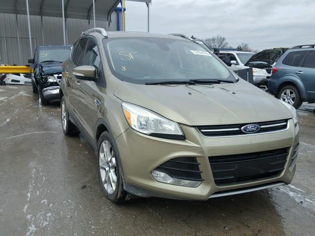 1FMCU0J94EUA40091 - 2014 FORD ESCAPE TIT GOLD photo 1