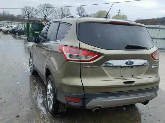 1FMCU0J94EUA40091 - 2014 FORD ESCAPE TIT GOLD photo 3