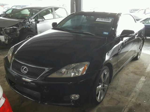 JTHFF2C23A2514494 - 2010 LEXUS IS 250 BLACK photo 2