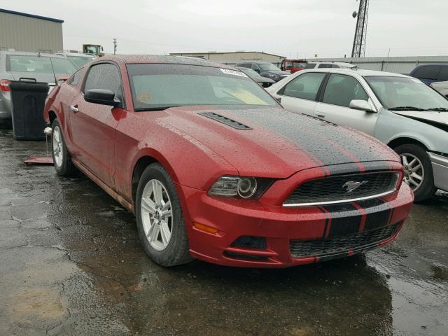 1ZVBP8AM8D5206578 - 2013 FORD MUSTANG TWO TONE photo 1