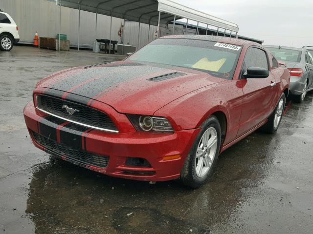 1ZVBP8AM8D5206578 - 2013 FORD MUSTANG TWO TONE photo 2