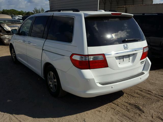 5FNRL388X5B081673 - 2005 HONDA ODYSSEY TO WHITE photo 3